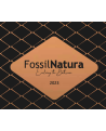 FOSSIL NATURA